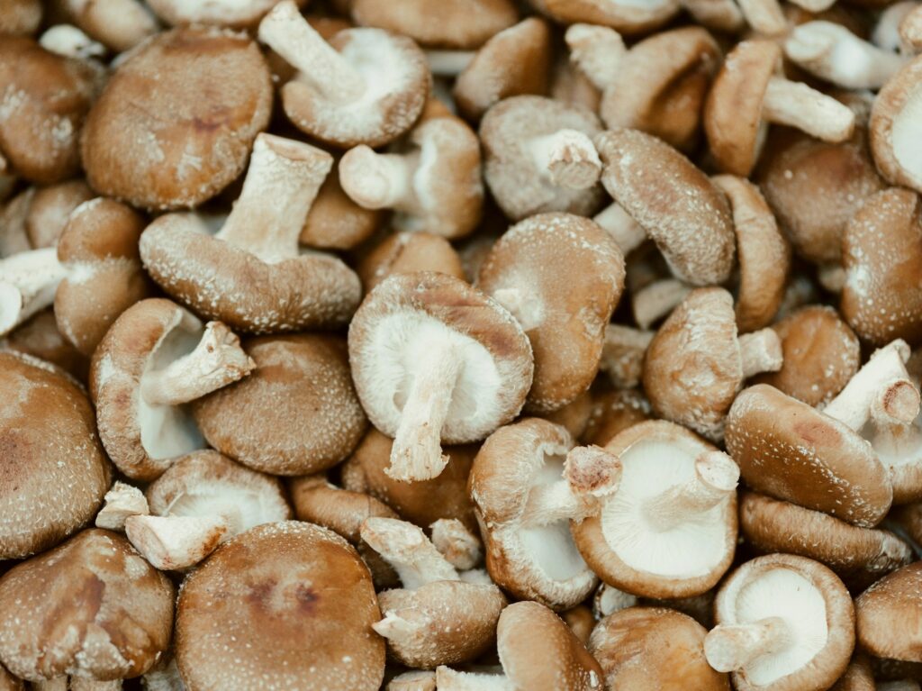 Shiitake mushrooms, one of the top 5 healthiest mushrooms according to Biohack Insider.